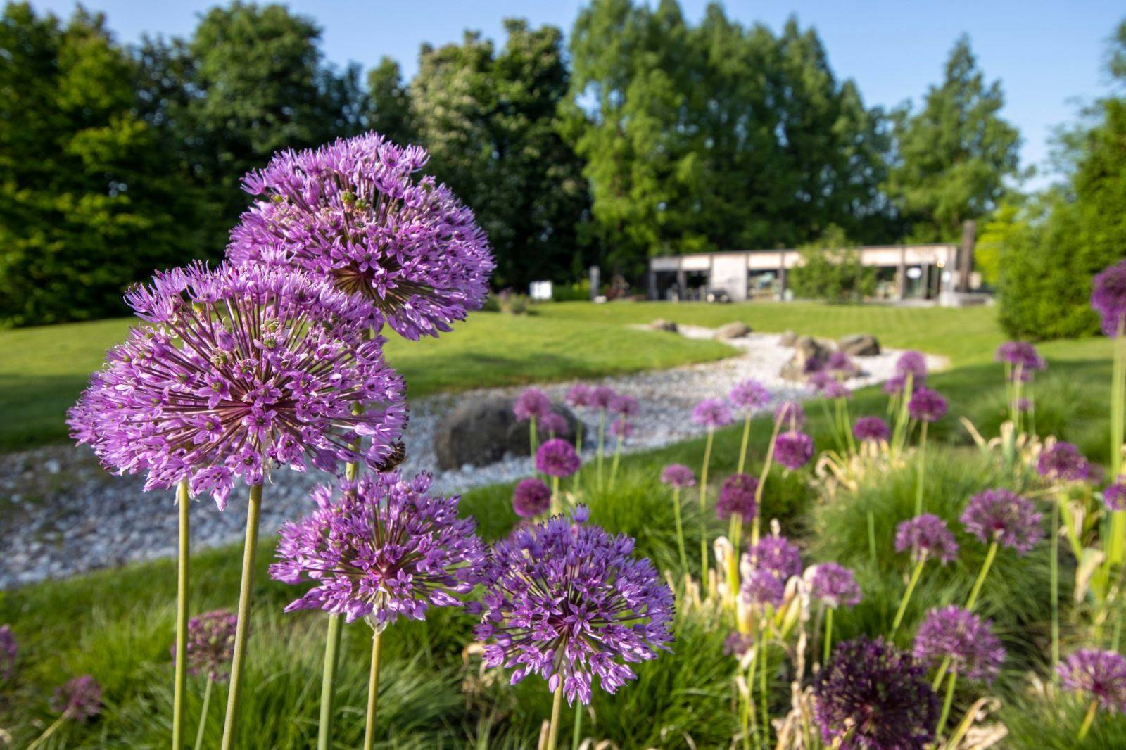 包含斯洛文尼亚球队在最新比赛中展现杰出表现的词条 包含斯洛文尼亚球队在最新比赛中展现杰出表现的词条