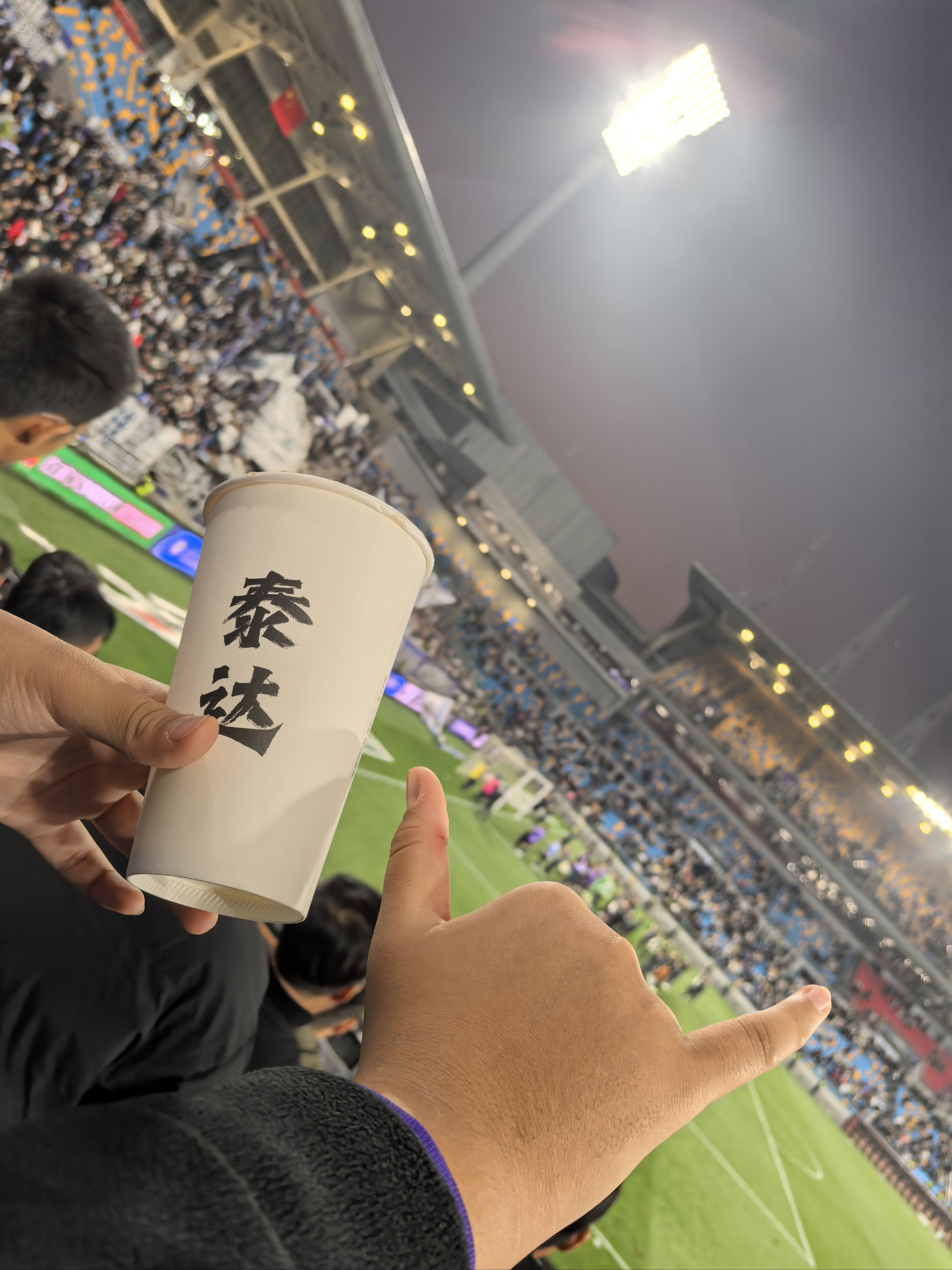 球场上的激情对抗，球迷欢呼雀跃