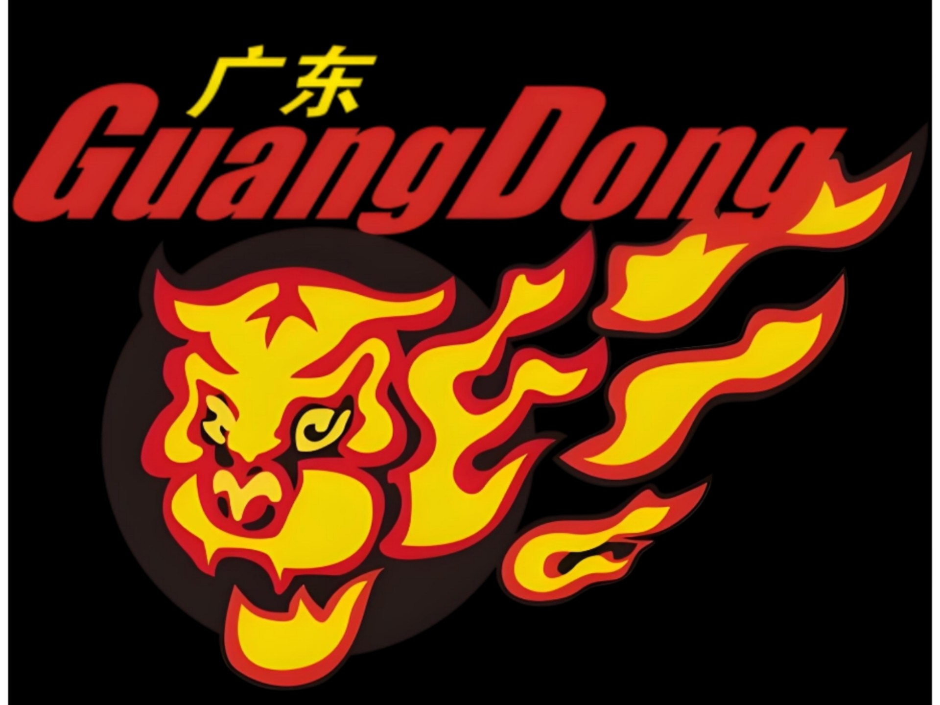 开云体育APP下载-广东宏远全面击败山东，取得五连胜的简单介绍