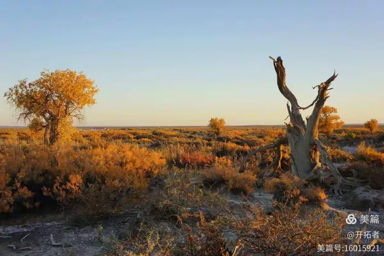 开云体育APP下载-甘肃戈壁胜利在望，迈向冠军
