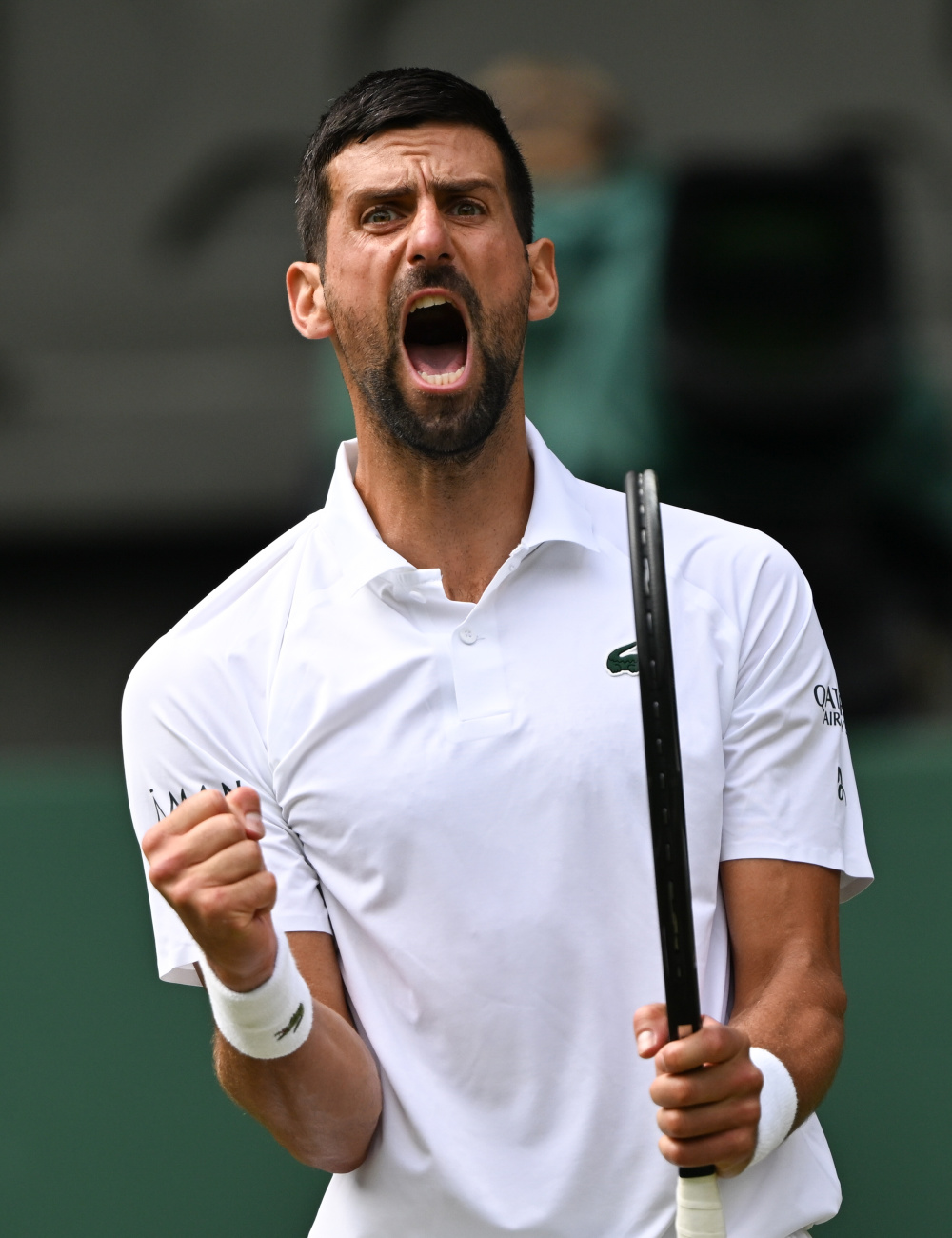 日本网球队爆冷英国网球队，费德勒绝境逆转的简单介绍